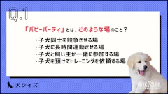 おすすめ記事1