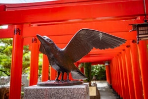 ハシボソガラス,ハシブトガラス,生態,歴史,八咫烏