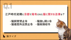 おすすめ記事1