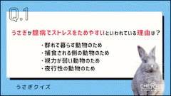 記事カテゴリ第1位