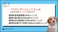 おすすめ記事1