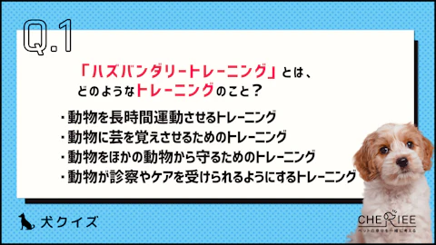 【クイズ】愛犬の健康を守ろう!ハズバンダリートレーニングとは?のアイキャッチ画像