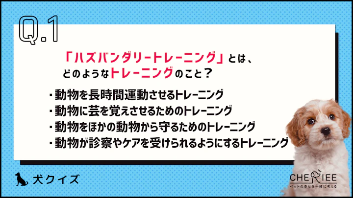 【クイズ】愛犬の健康を守ろう!ハズバンダリートレーニングとは?のアイキャッチ画像