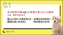 おすすめ記事1