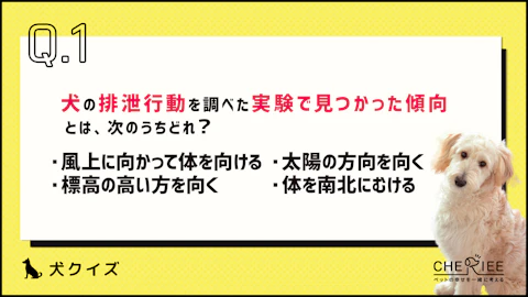 【クイズ】思わず誰かに話したくなる！楽しい犬の雑学⑤のアイキャッチ画像