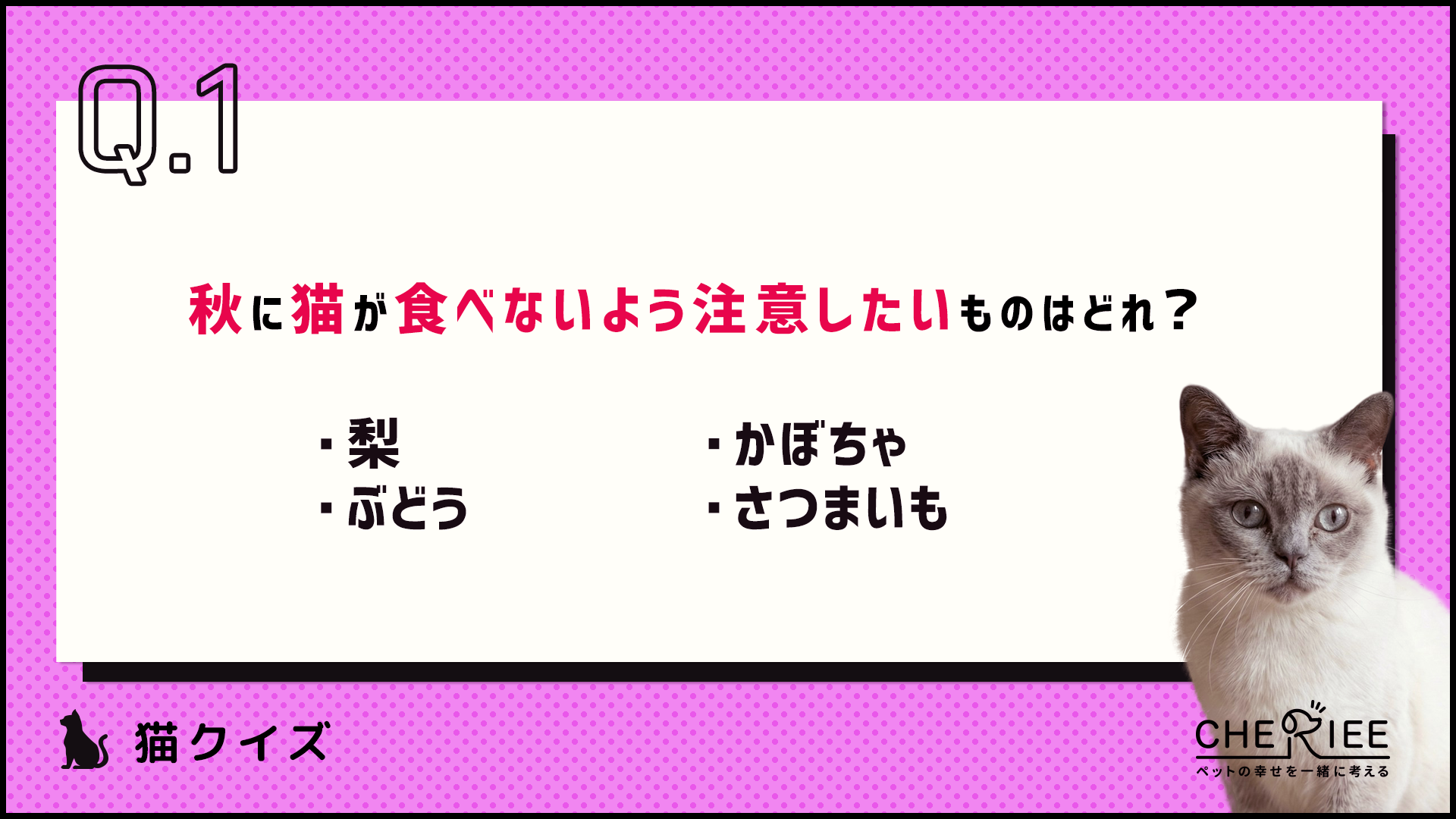 【クイズ】猫と秋に関する豆知識！食事や換毛、暮らしのポイント