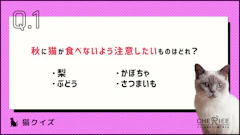 記事カテゴリ第1位