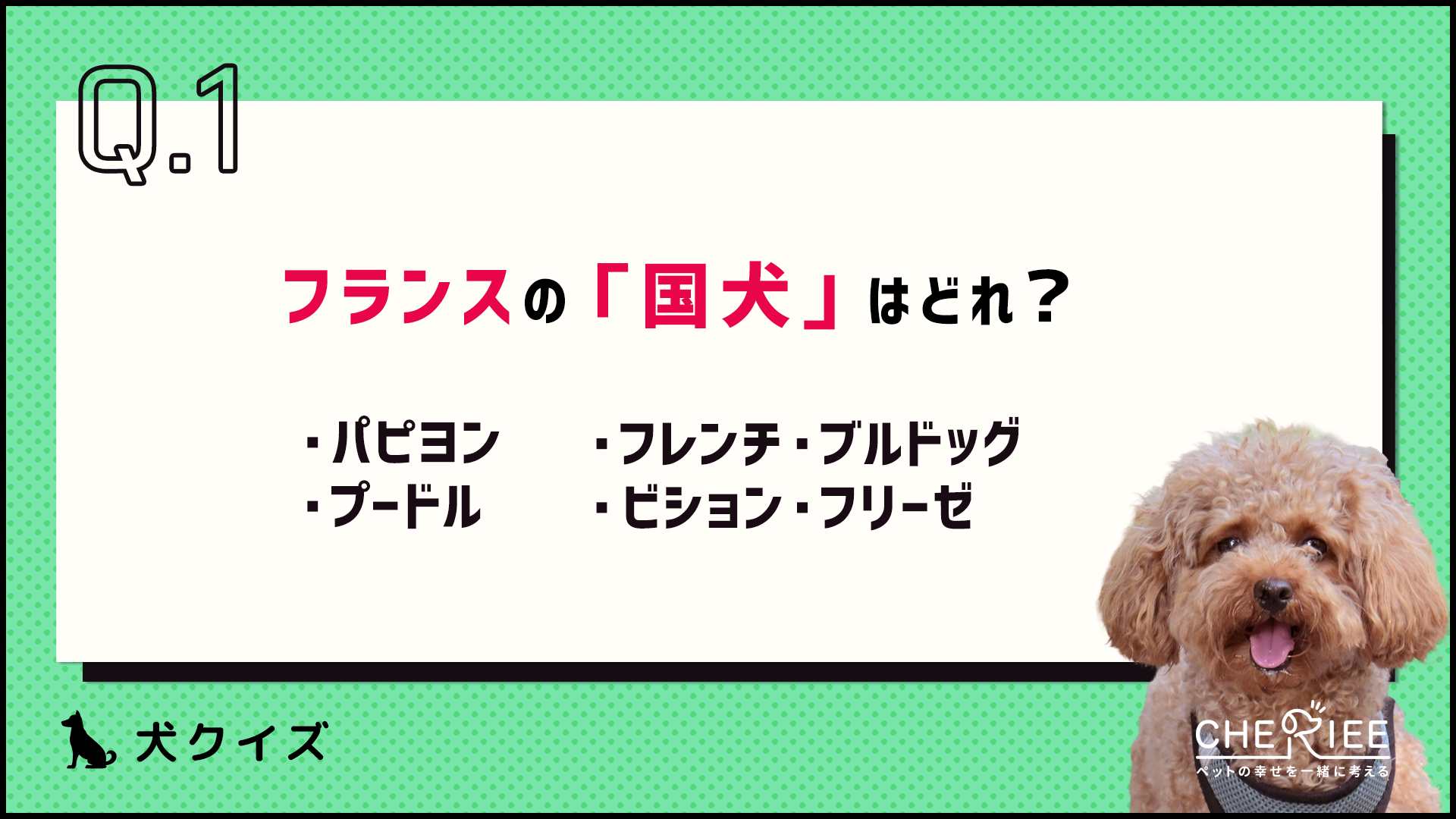 【クイズ】あの国の「国犬」って何だか知ってる？