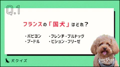 おすすめ記事1