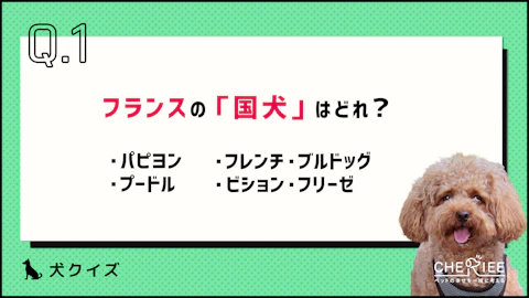 【クイズ】あの国の「国犬」って何だか知ってる?のアイキャッチ画像