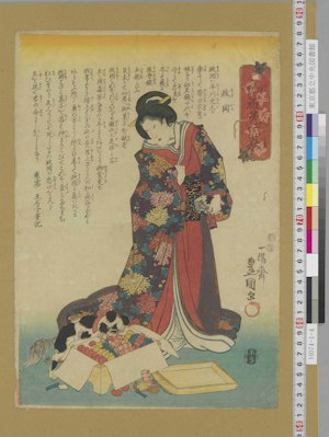 浮世絵「伽羅先代萩 政岡」。菓子箱に顔を入れる、赤い縮緬の首輪をつけた白黒の狆と乳母・政岡