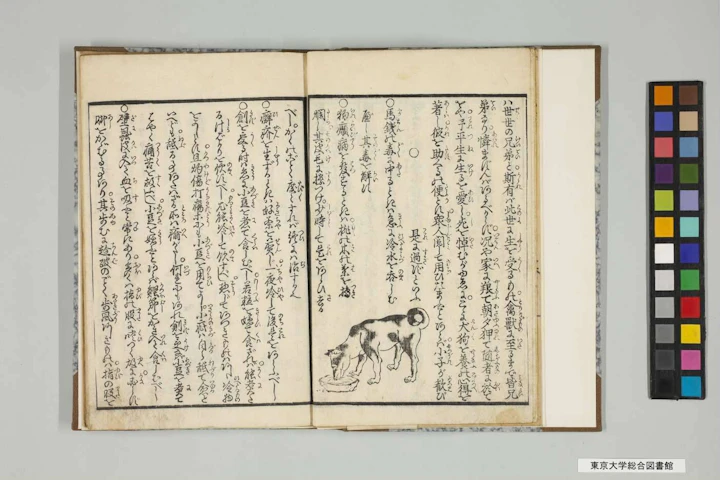暁鐘成『犬狗養畜伝』の挿絵。浅い鉢から水を飲む犬