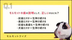 記事カテゴリ第1位