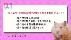おすすめ記事1
